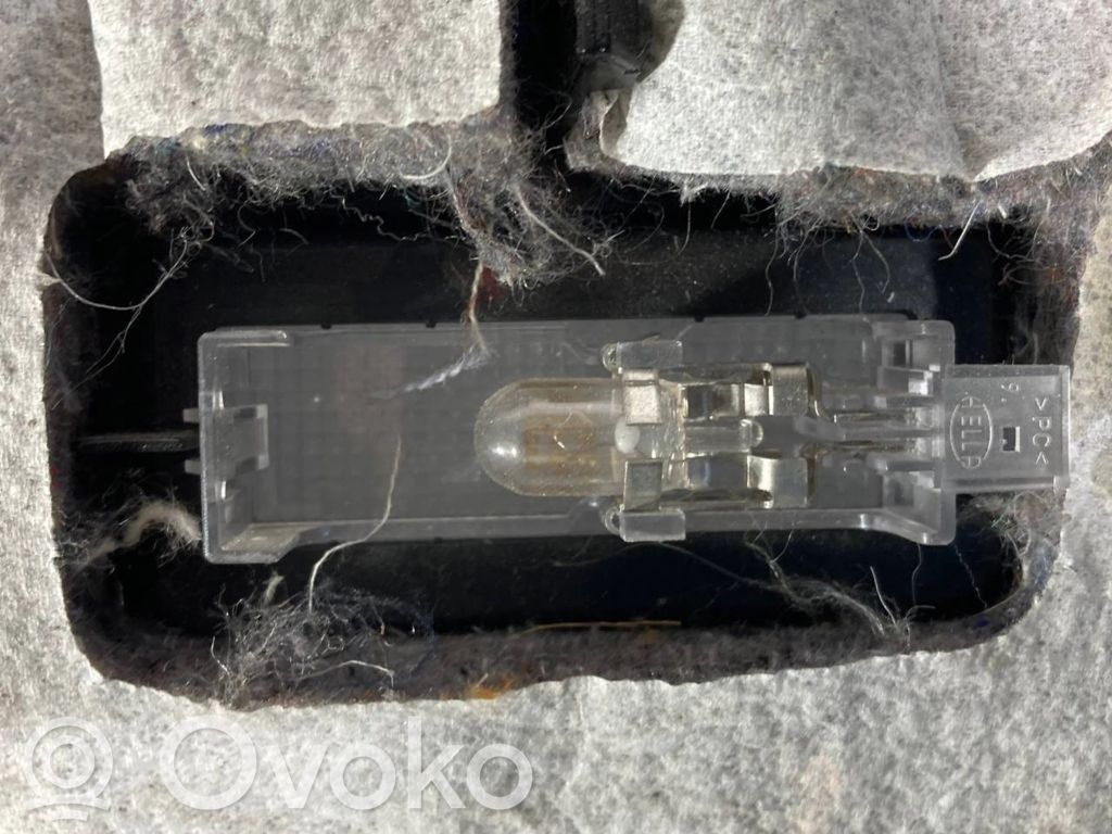 Panel decorative trim shield (lower)