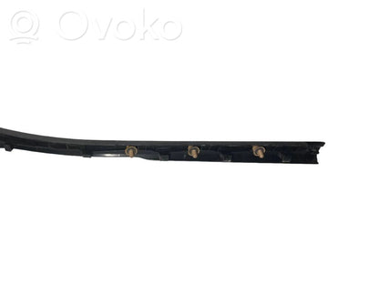 Front sill trim (inner)
