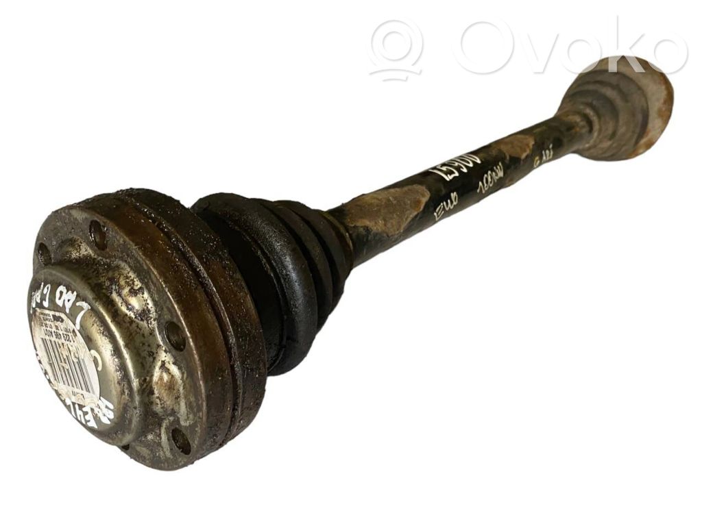 Aizmugurējā pusass