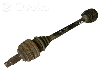 Aizmugurējā pusass