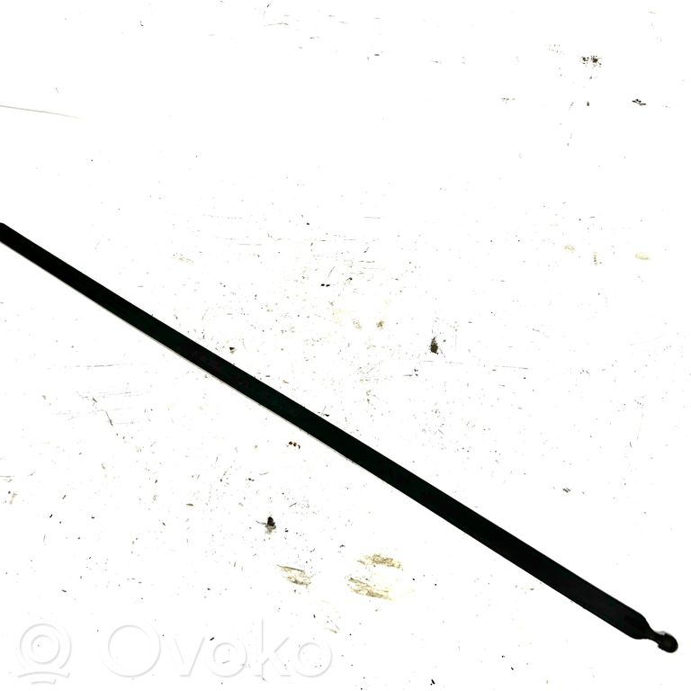 Cita veida bagāžnieka dekoratīvās apdares detaļa