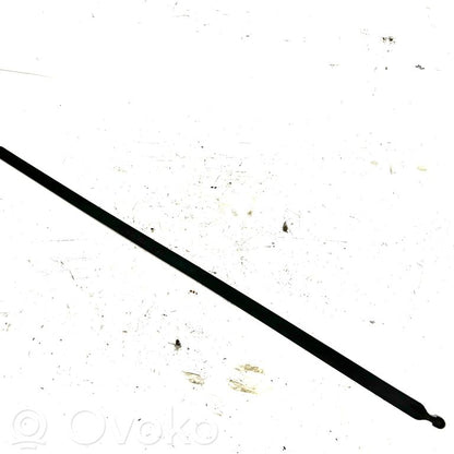 Cita veida bagāžnieka dekoratīvās apdares detaļa