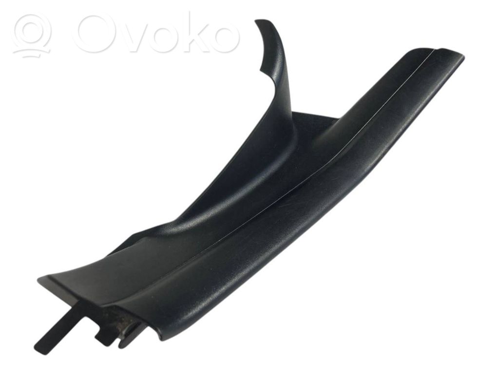 Rear door sill trim (inner)