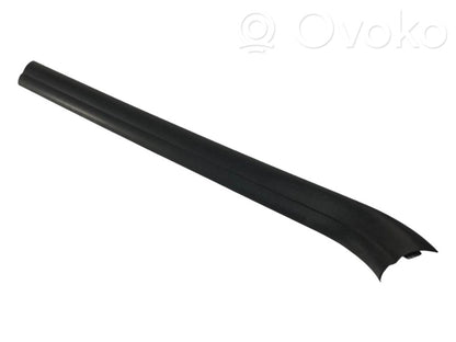 Front sill trim (inner)