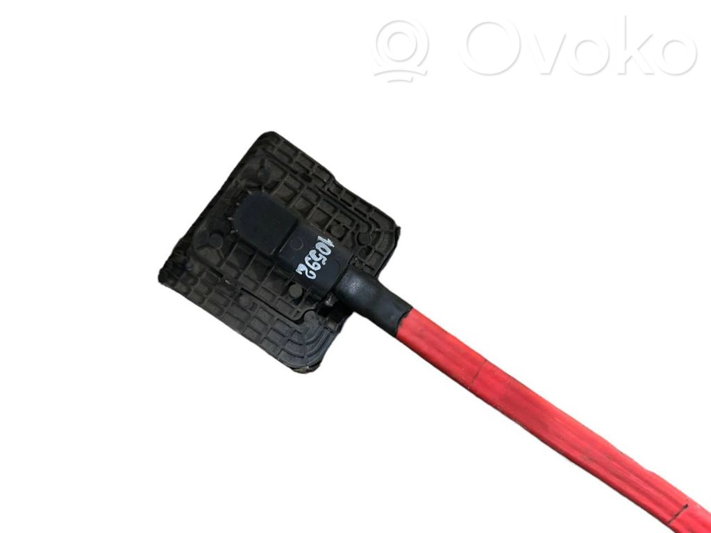 Plusa vads (akumulatora)