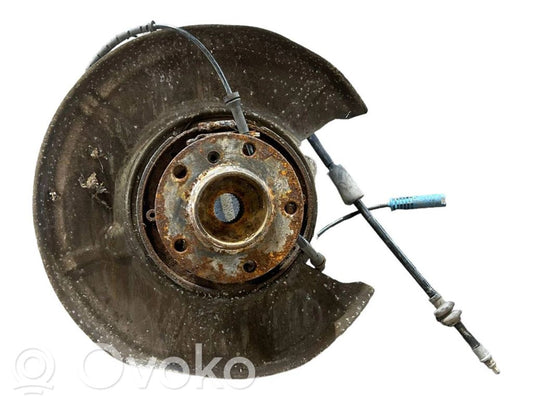 Rear wheel hub shaft joint (stupica, capfa)