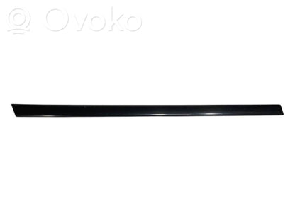 Rear door decorative trim (moulding)