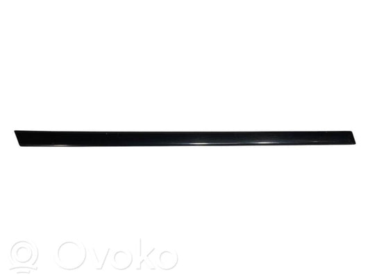 Aizmugurē durvju dekoratīvā apdare (moldings)