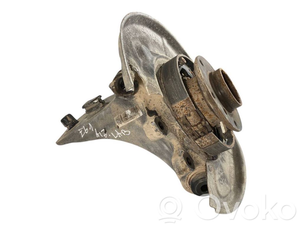 Rear wheel hub shaft joint (stupica, capfa)