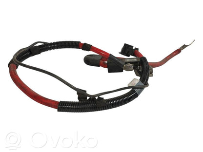 Plusa vads (akumulatora)