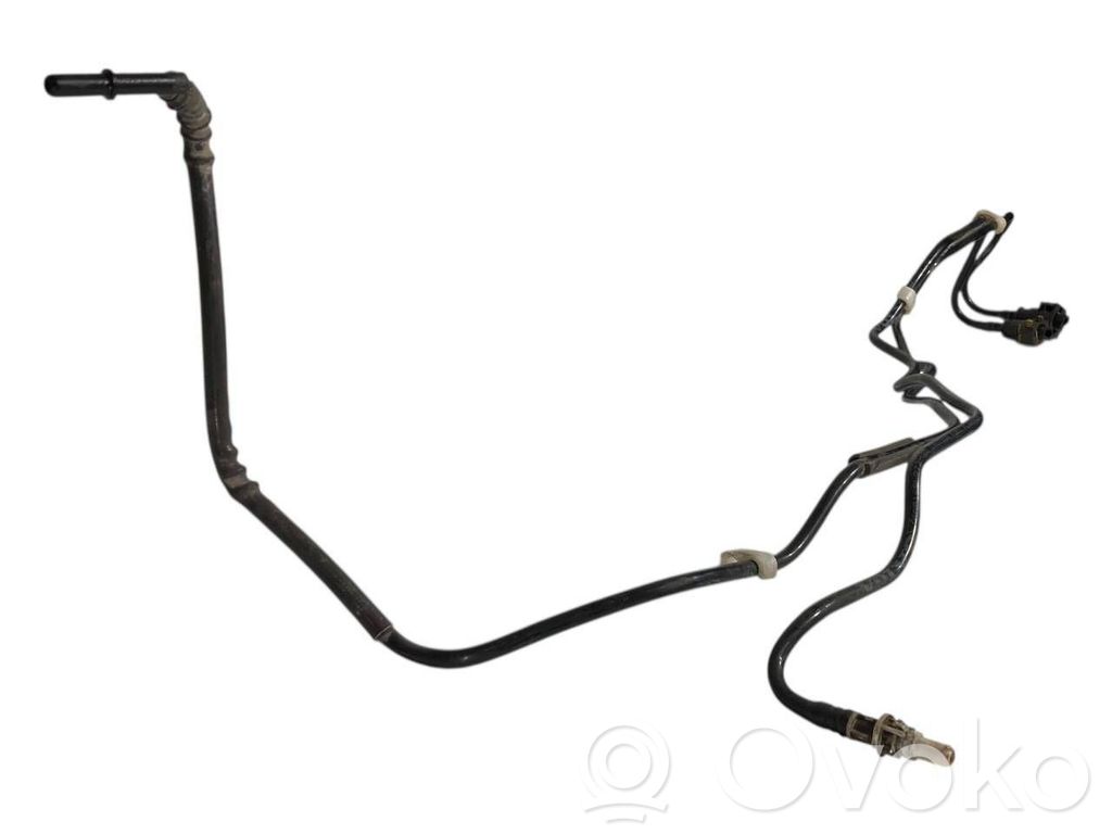 Caurule (-es) / šļūtene (-es)