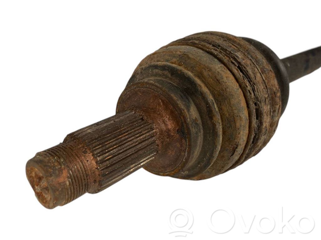 Aizmugurējā pusass