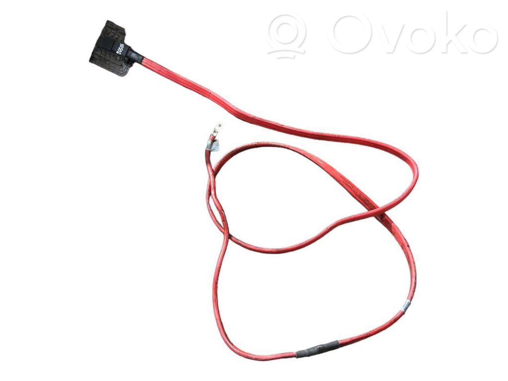 Plusa vads (akumulatora)