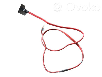 Plusa vads (akumulatora)