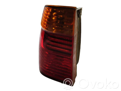 Taillight in the body