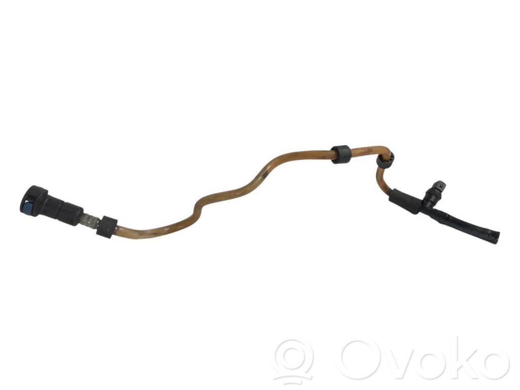 Caurule (-es) / šļūtene (-es)