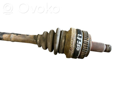 Aizmugurējā pusass