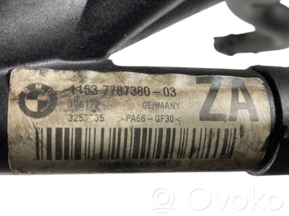 Caurulīte (-es) / šļūtene (-es)