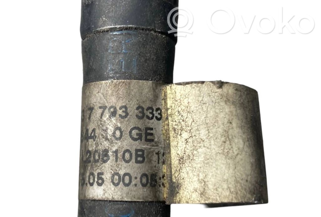 Caurule (-es) / šļūtene (-es)