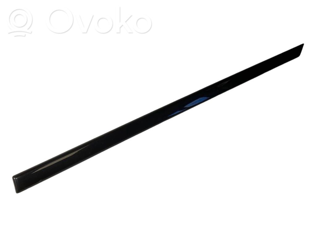Aizmugurē durvju dekoratīvā apdare (moldings)