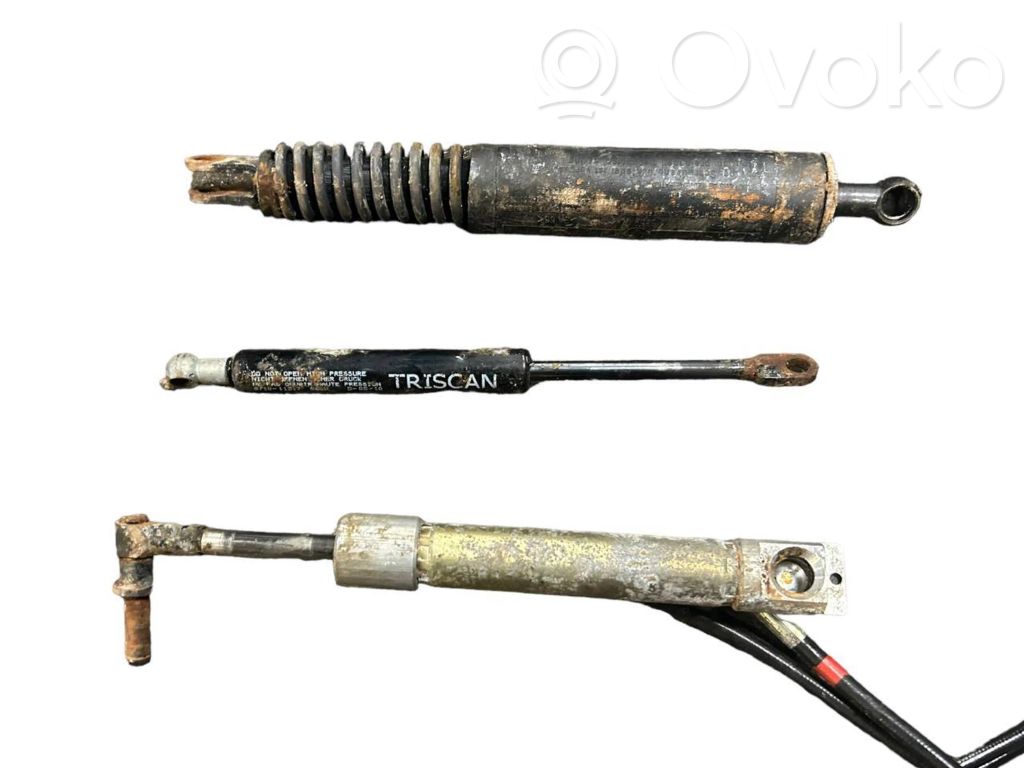 Bagāžnieka dekoratīvā apdare