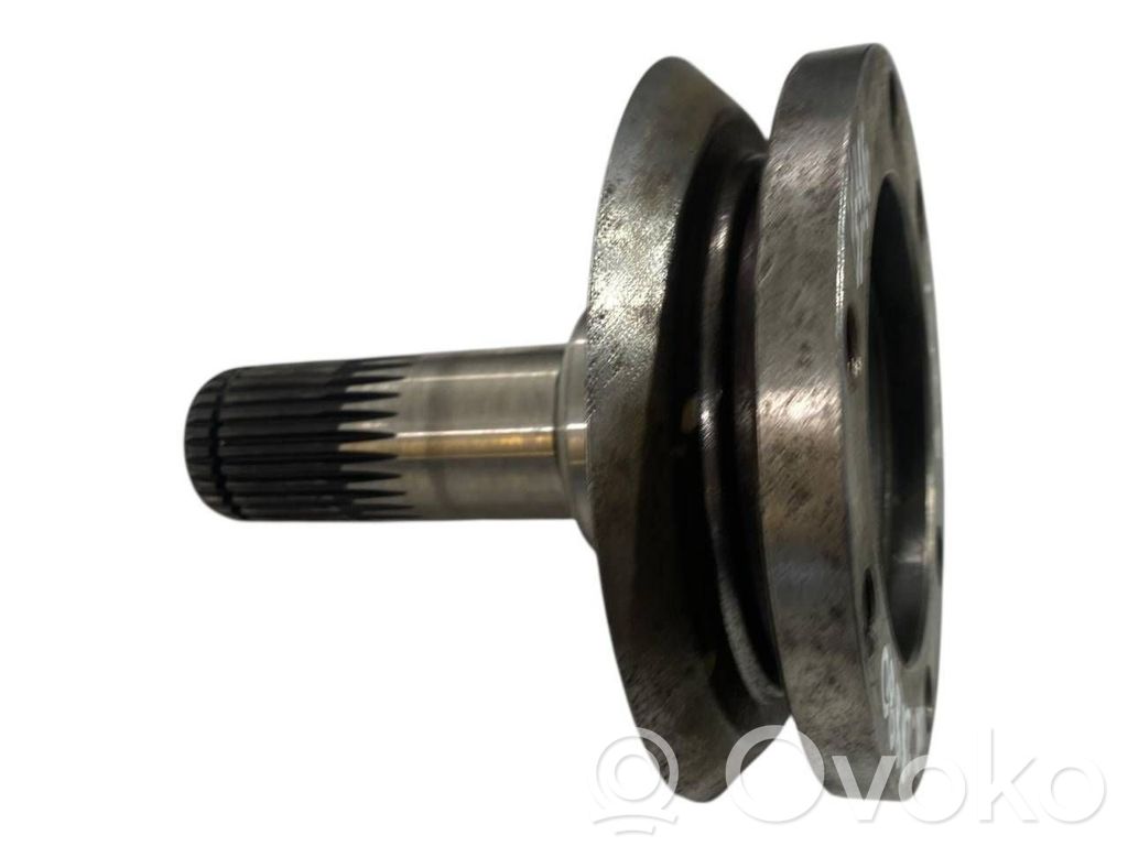 Aizmugurējā pusass