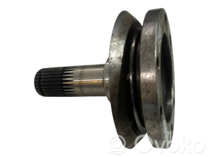 Aizmugurējā pusass