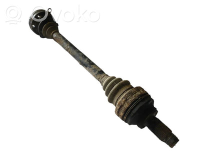 Aizmugurējā pusass