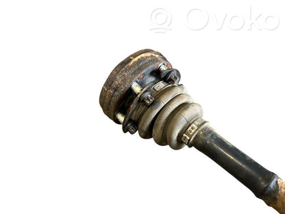 Aizmugurējā pusass