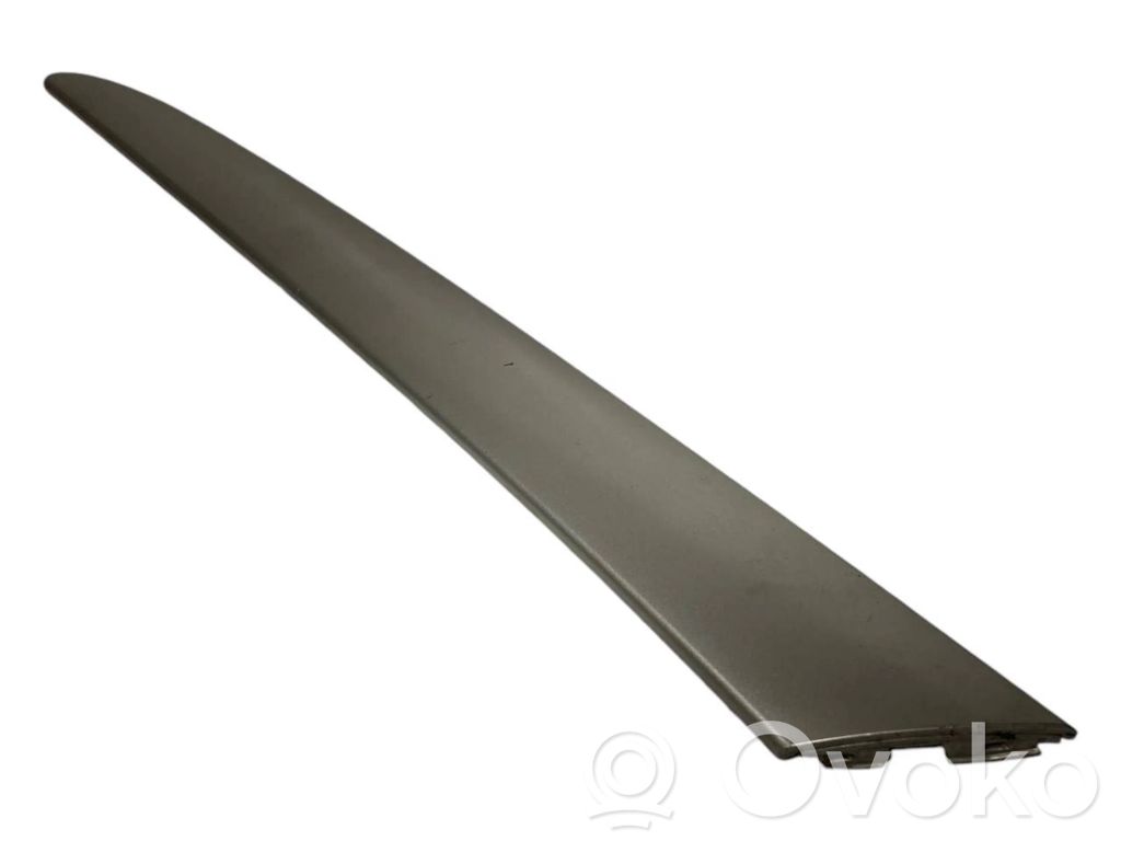 Decorative trim strip on the front