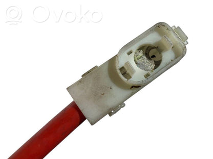Plusa vads (akumulatora)