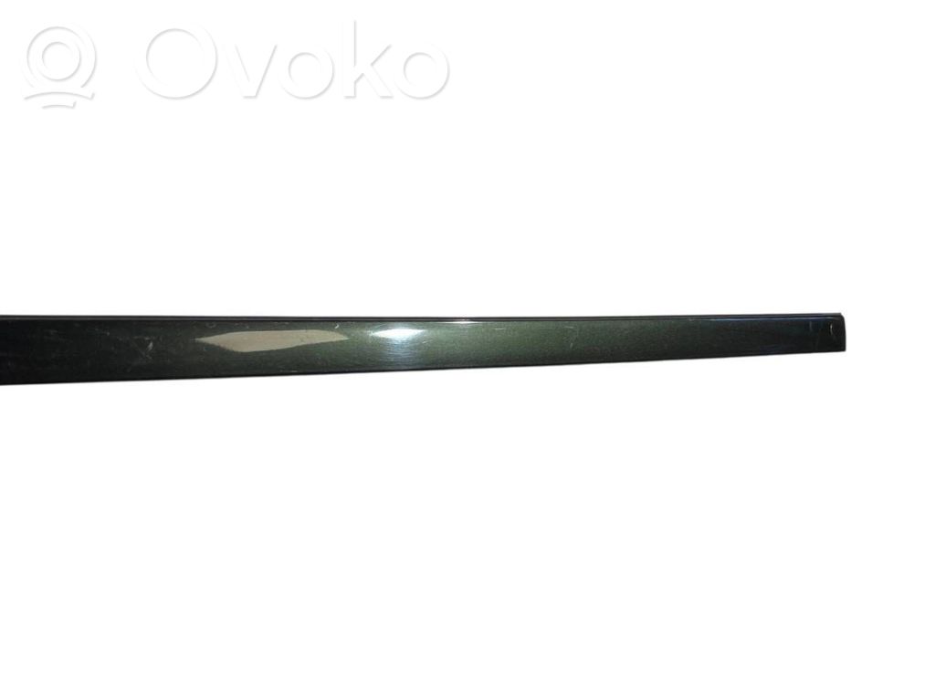 Aizmugurē durvju dekoratīvā apdare (moldings)