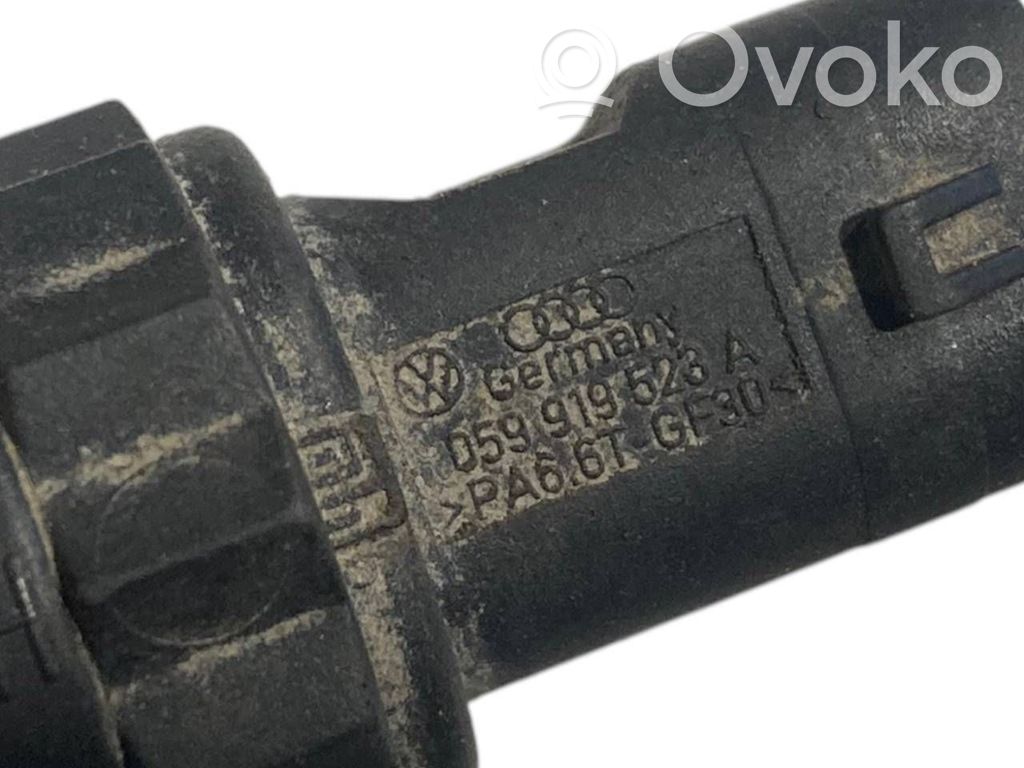 Caurule (-es) / šļūtene (-es)