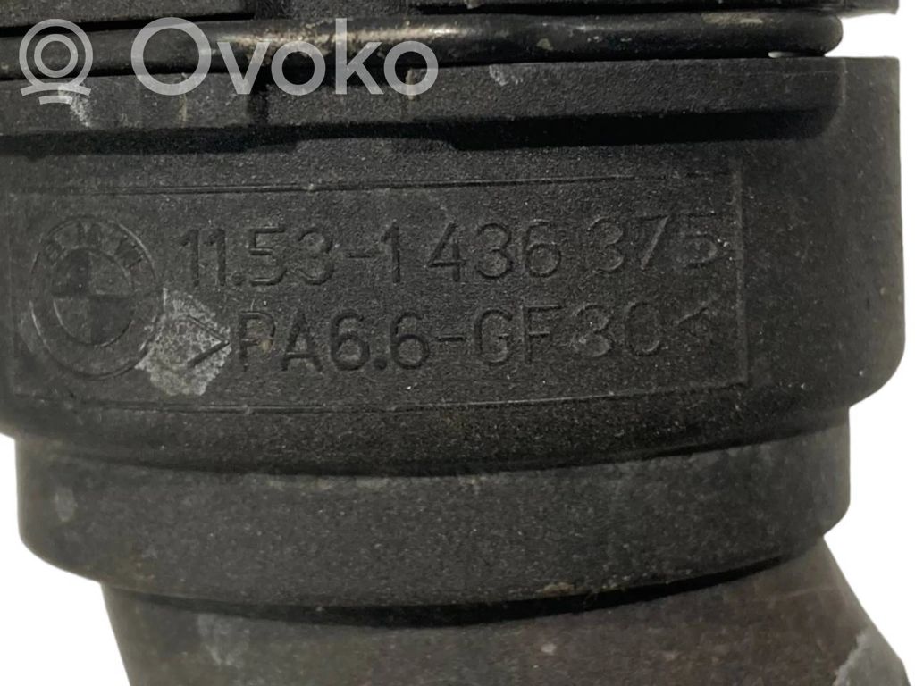 Caurulīte (-es) / šļūtene (-es)