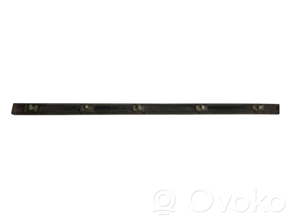 Rear door decorative trim (moulding)