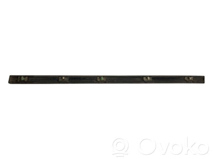 Rear door decorative trim (moulding)
