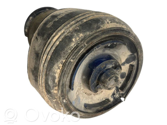 Aizmugurē gaisa spilvens