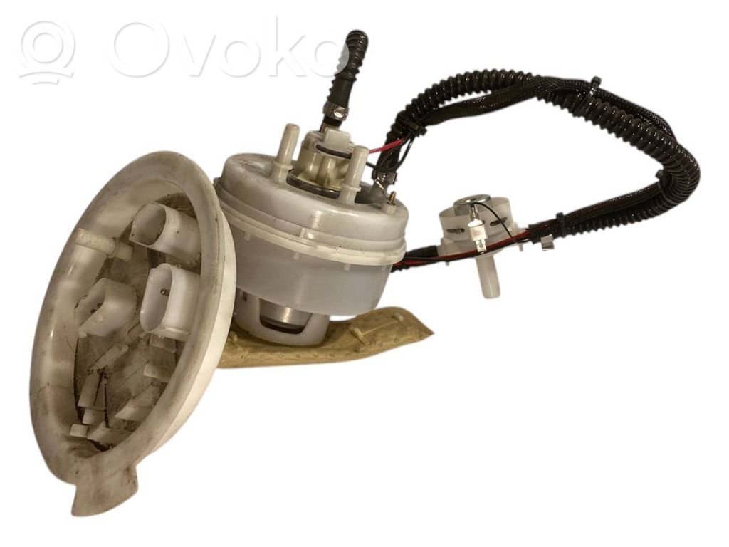 Fuel pump (in the fuel tank)