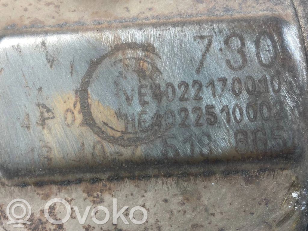 Katalizators, FAP/DPF cieto daļiņu filtrs