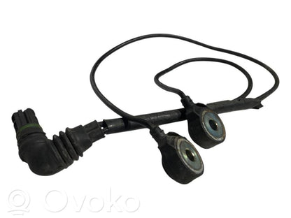 Detonācijas sensors