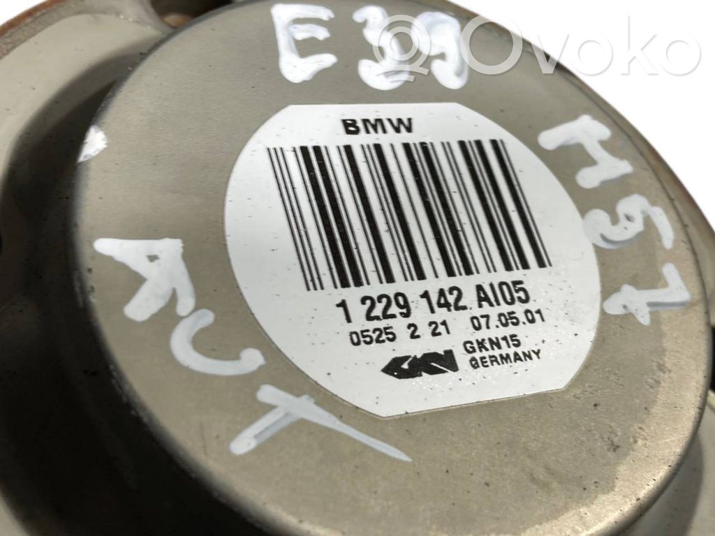 Aizmugurējā pusass