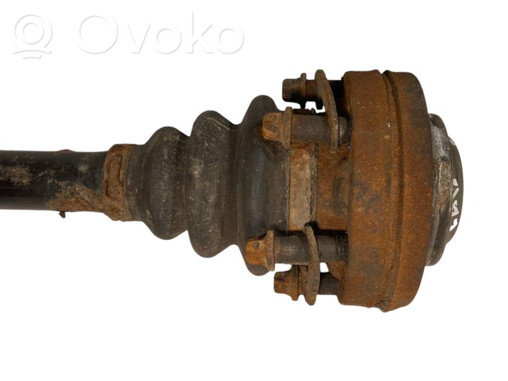 Aizmugurējā pusass