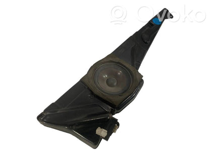 Speaker(s) in front door