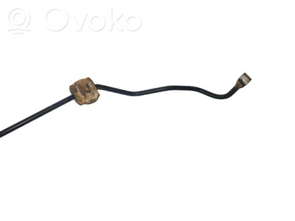 Stabilizatora stienis