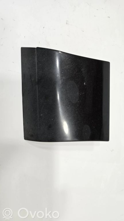 Fender decorative trim (molding)