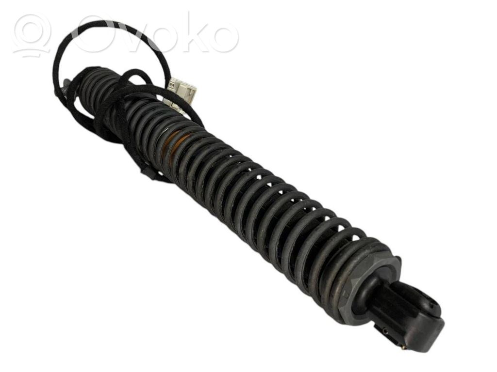 Bagāžnieka amortizators