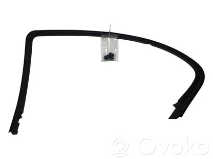 Rear door glass frame