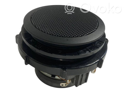 Speaker(s) in the rear door