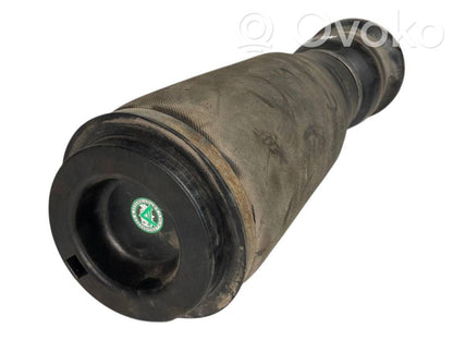 Aizmugurē gaisa spilvens