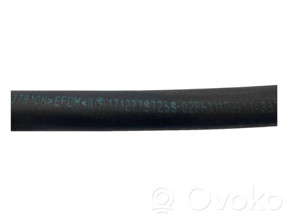 Caurulīte (-es) / šļūtene (-es)